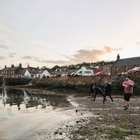 The Killing Tide